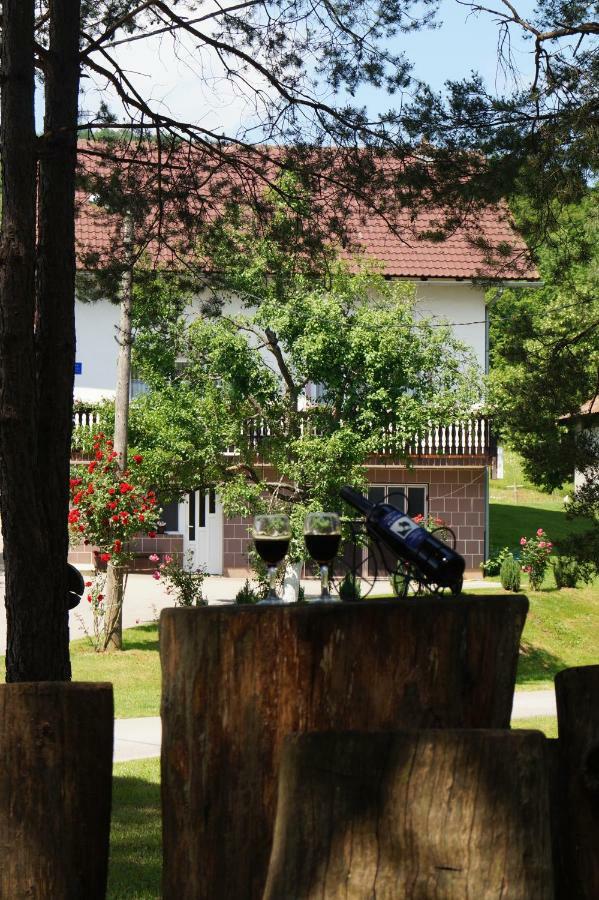 Apartment Drago Rakovica Εξωτερικό φωτογραφία